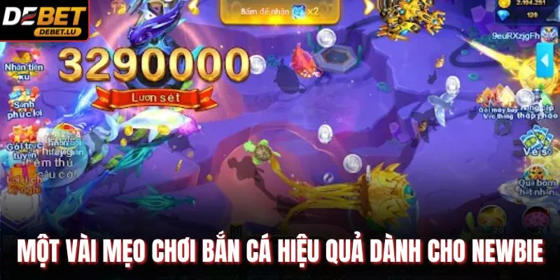Bắn Cá Thần Tài Debet Hướng Dẫn 3 Mẹo Chơi Thắng Lớn 2026 4 Một vài mẹo chơi bắn cá hiệu quả dành cho newbie