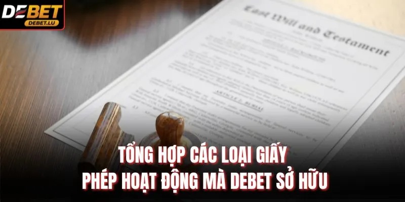 Debet 3 Tổng hợp các loại giấy phép hoạt động mà Debet sở hữu